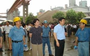 江西省九江市市長王萍多次視察江西亞東