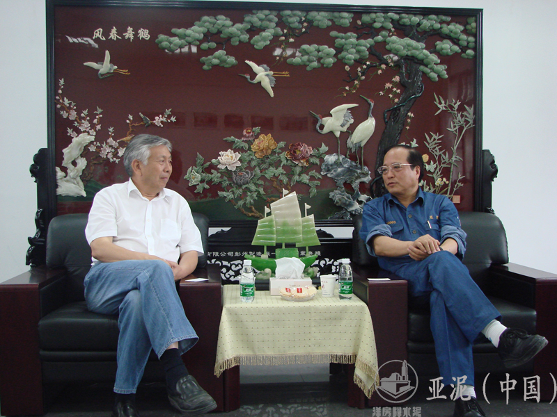 2008年6月21日，中國水泥協(xié)會會長雷前治視察四川亞東