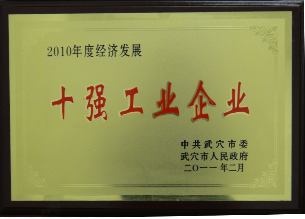 2010年度經(jīng)濟(jì)發(fā)展十強(qiáng)工業(yè)企業(yè)（黃岡亞東）