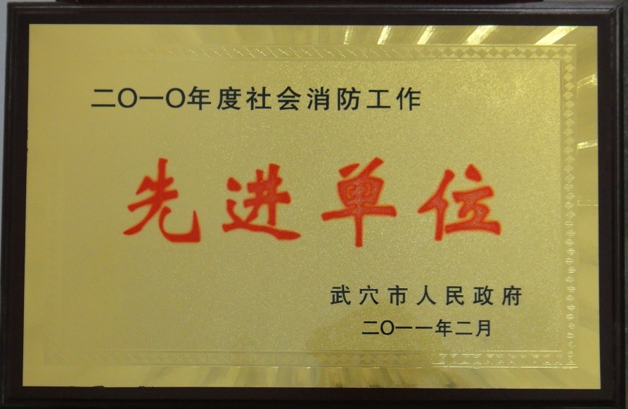 2010年度社會消防工作先進(jìn)單位（黃岡亞東）