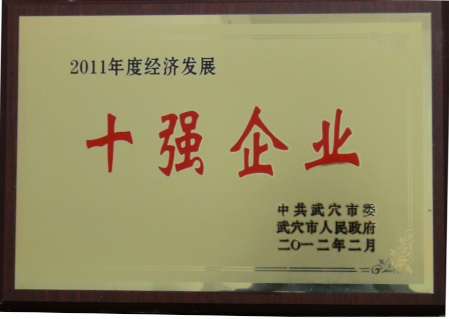 2011年度經(jīng)濟(jì)發(fā)展十強(qiáng)企業(yè)（黃岡亞東）