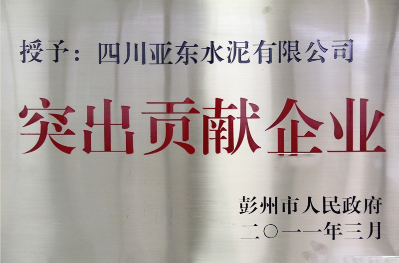 突出貢獻(xiàn)企業(yè)（四川亞東）