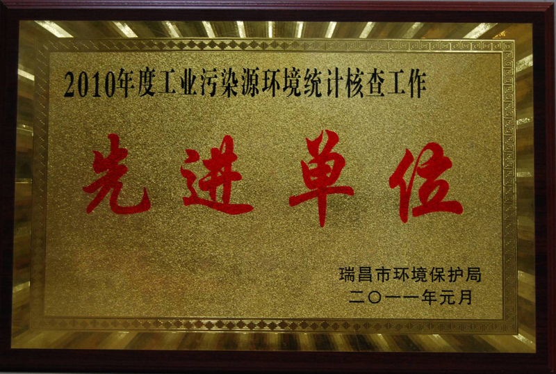2010年度工業(yè)污染源環(huán)境統(tǒng)計核查工作先進(jìn)單位（江西亞東）