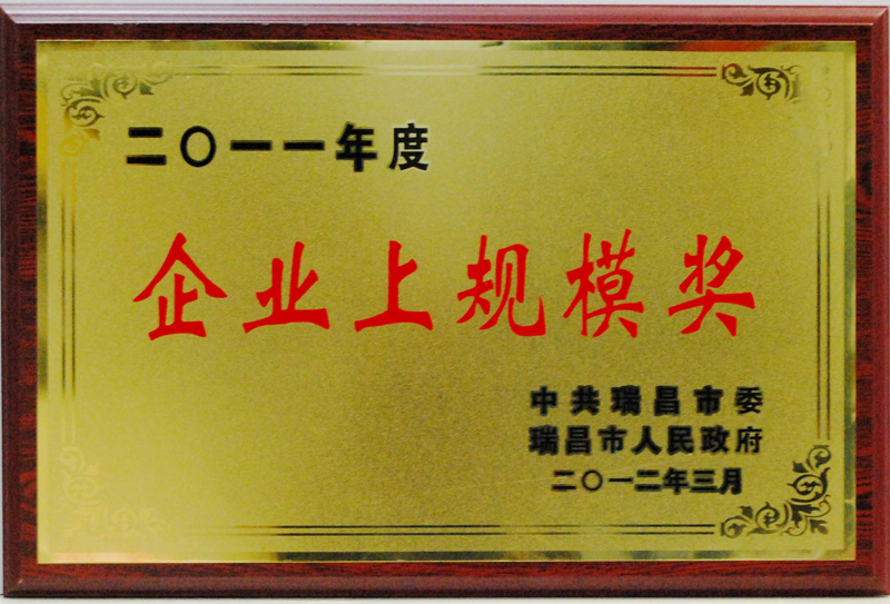 企業(yè)上規(guī)模獎（江西亞東）