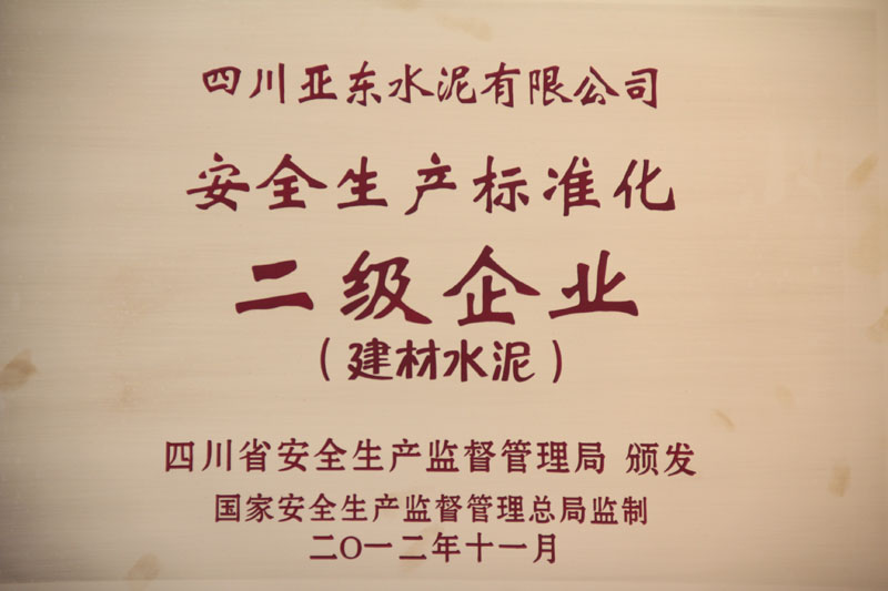 安全生產(chǎn)標(biāo)準(zhǔn)化二級(jí)企業(yè)（四川亞東）