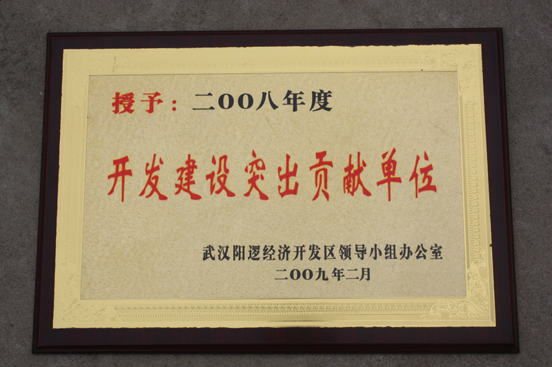 開發(fā)建設(shè)突出貢獻(xiàn)單位(湖北亞東) 開發(fā)建設(shè)突出貢獻(xiàn)單位(湖北亞東)