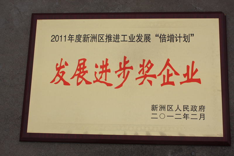 發(fā)展進(jìn)步獎企業(yè)（湖北亞東）