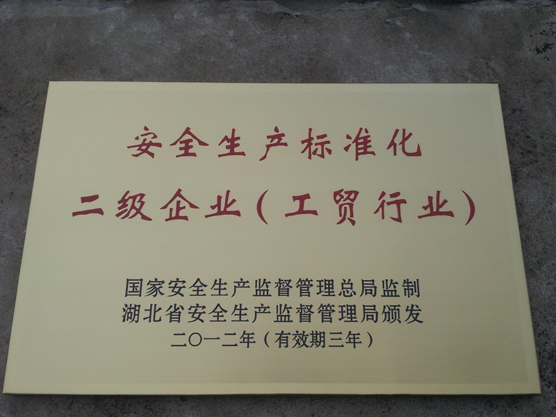 安全生產(chǎn)標(biāo)準(zhǔn)化二級企業(yè)（湖北亞東）