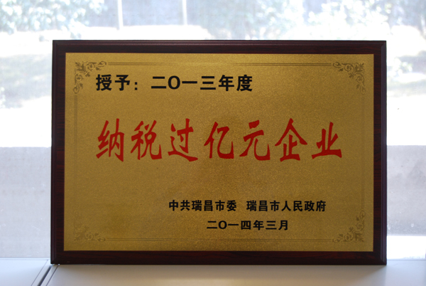 瑞昌市『納稅過億元企業(yè)』（江西亞東）