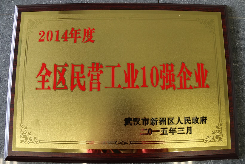 2014年度全區(qū)民營企業(yè)10強企業(yè)(湖北亞東)