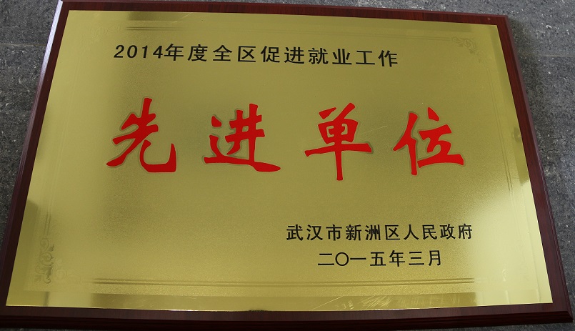 2014年度全區(qū)促進就業(yè)工作先進單位（湖北亞東）