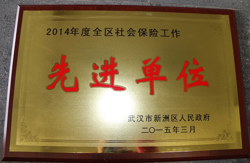 2014年度全區(qū)社會保險工作先進單位（湖北亞東）