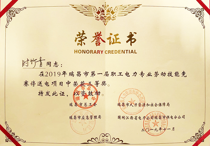 電力專業(yè)勞動技能競賽“個人三等獎”（江西亞東）