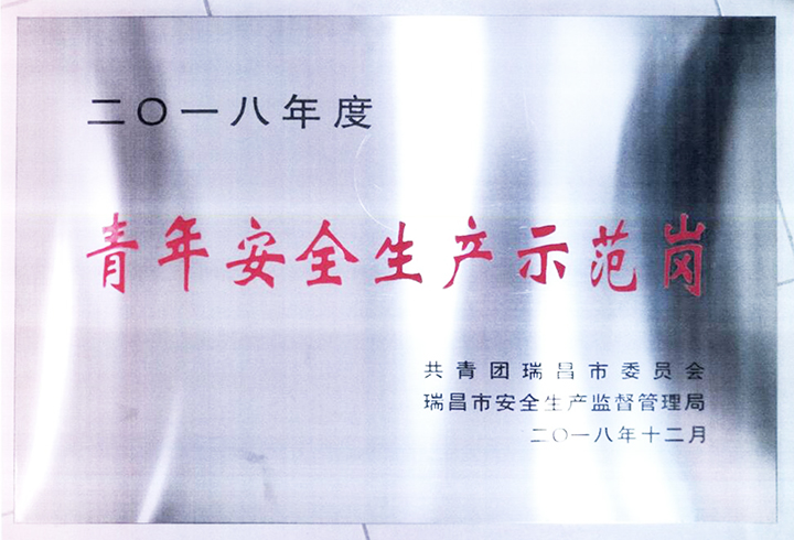 青年安全生產(chǎn)示范崗（江西亞?wèn)|）