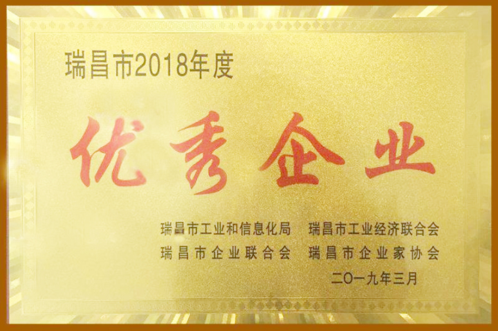 2018年度優(yōu)秀企業(yè)（江西亞?wèn)|）