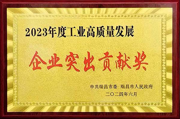 2024年6月24日，瑞昌市召開2023年度全市綜合考核總結(jié)暨通報表揚大會，江西亞東獲頒“2023年度工業(yè)高質(zhì)量發(fā)展企業(yè)突出貢獻獎”。