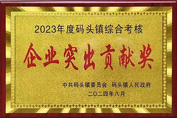 2024年8月20日，瑞昌市碼頭鎮(zhèn)召開2023年度綜合考核總結(jié)暨通報表揚大會，會上江西亞東榮獲“2023年度碼頭鎮(zhèn)綜合考核企業(yè)突出貢獻獎”，并獲頒獎牌。