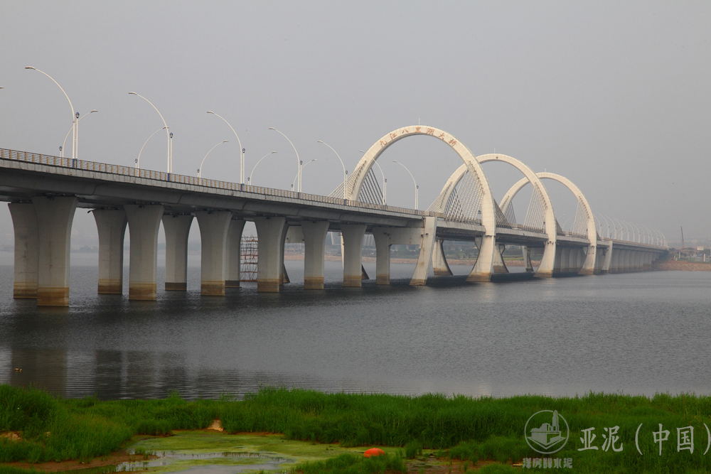 九江八里湖大橋 九江八里湖大橋
